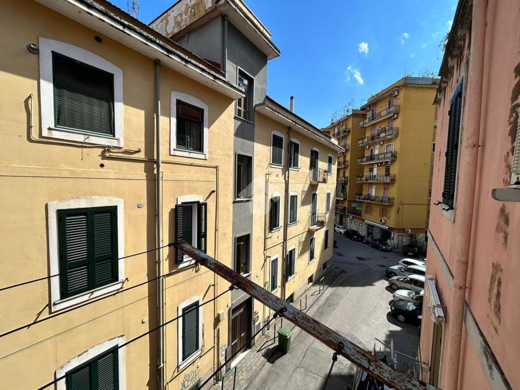immagine annuncio 10 di 14