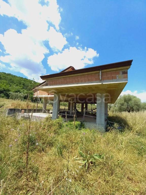 immagine annuncio 2 di 9