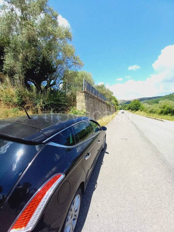 immagine annuncio 7 di 9