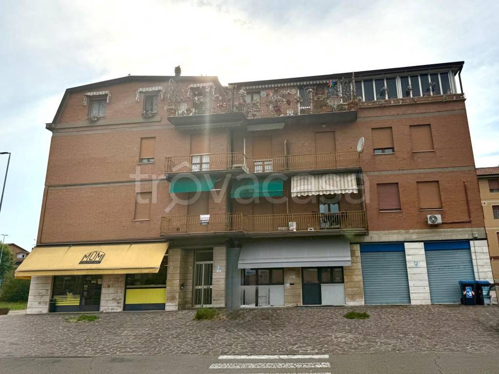 immagine annuncio 11 di 14