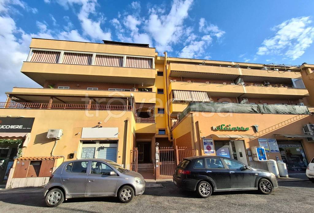 immagine annuncio 10 di 11