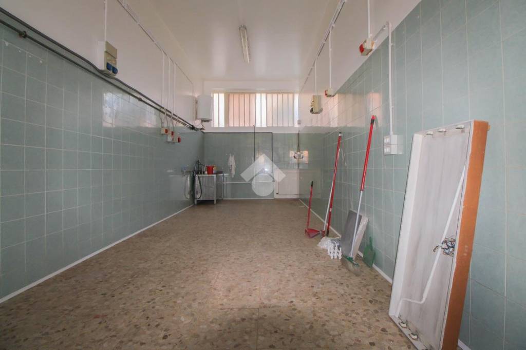 immagine annuncio 5 di 14