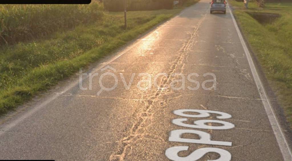 immagine annuncio 3 di 11