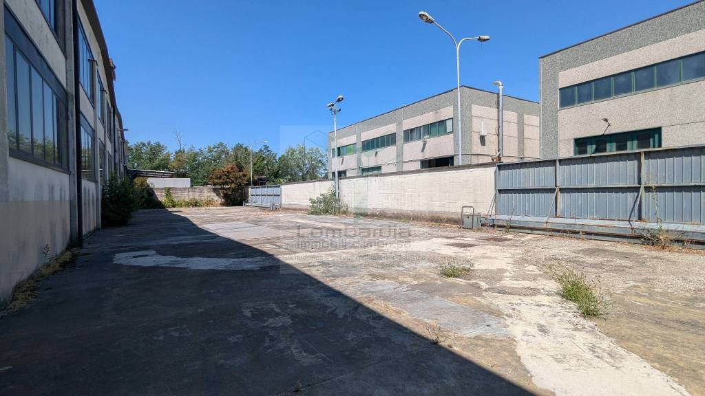 immagine annuncio 8 di 15