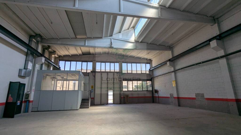 immagine annuncio 10 di 15