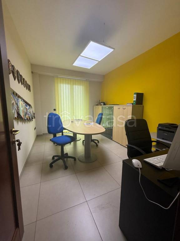 immagine annuncio 5 di 9