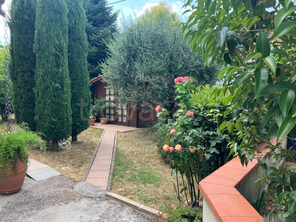 immagine annuncio 6 di 15