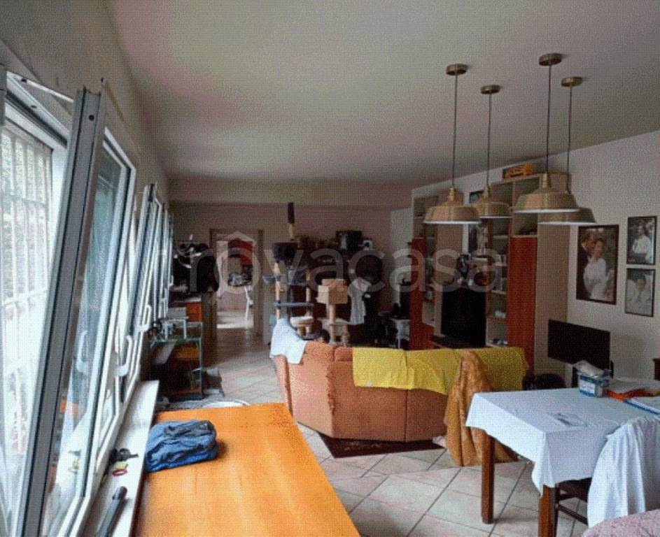 immagine annuncio 3 di 12
