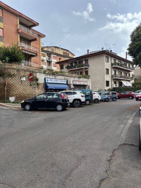 immagine annuncio 4 di 8