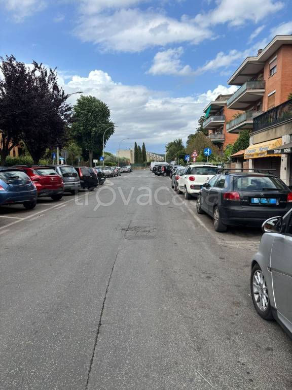 immagine annuncio 5 di 8