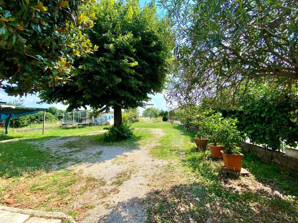 immagine annuncio 11 di 12
