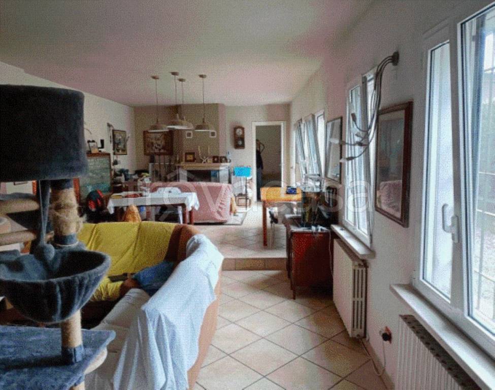 immagine annuncio 2 di 12