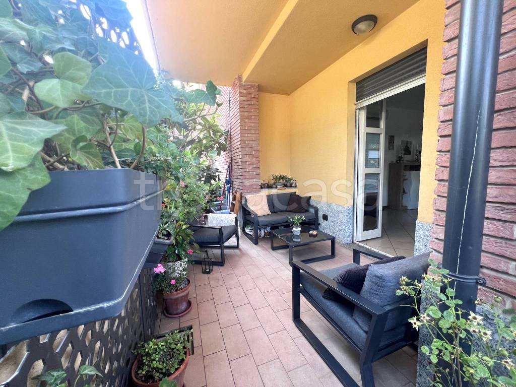 immagine annuncio 8 di 15