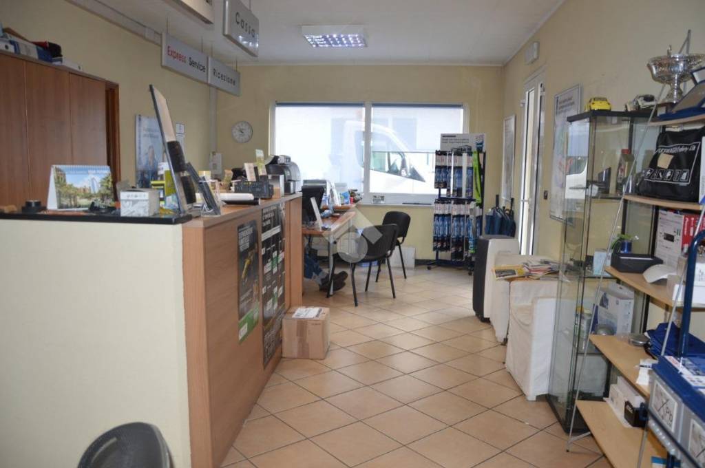 immagine annuncio 9 di 15