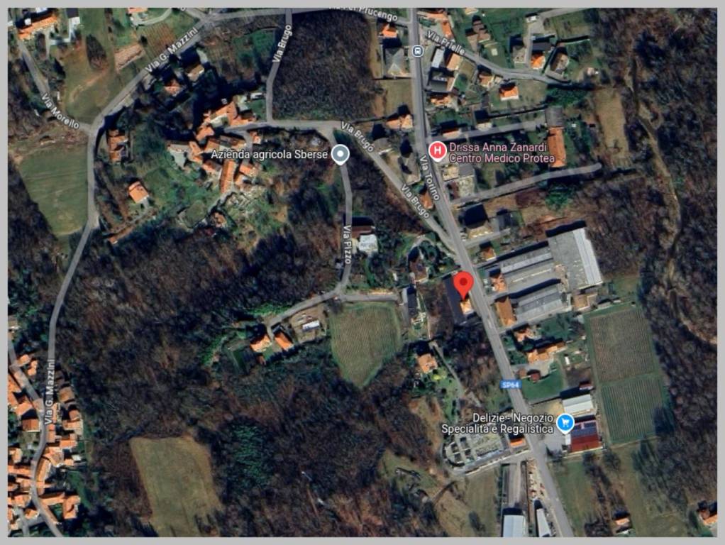 immagine annuncio 11 di 15