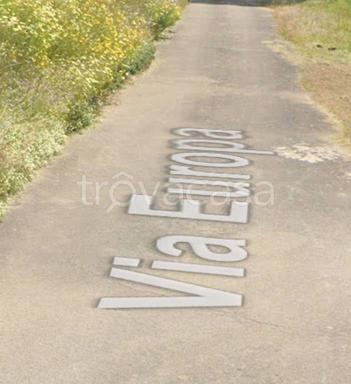 immagine annuncio 10 di 12