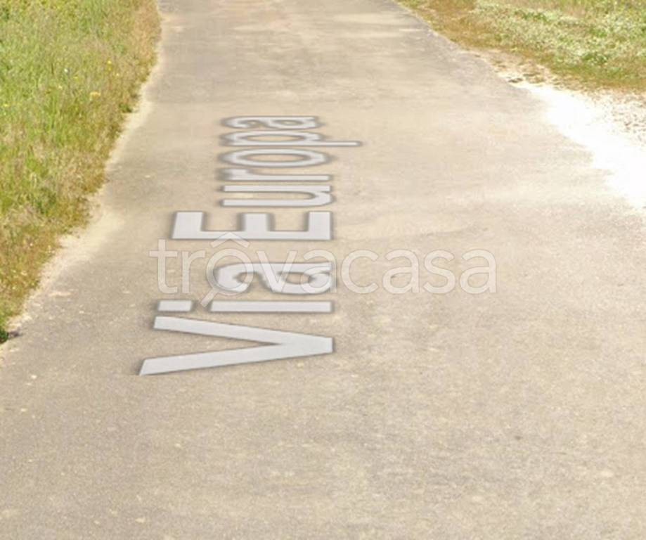 immagine annuncio 11 di 12