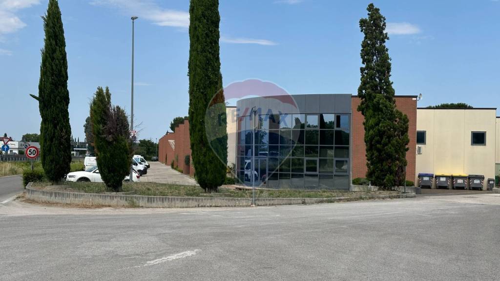 immagine annuncio 8 di 11