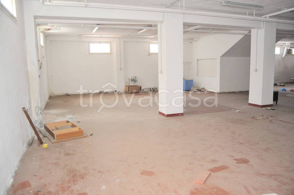 immagine annuncio 1 di 6