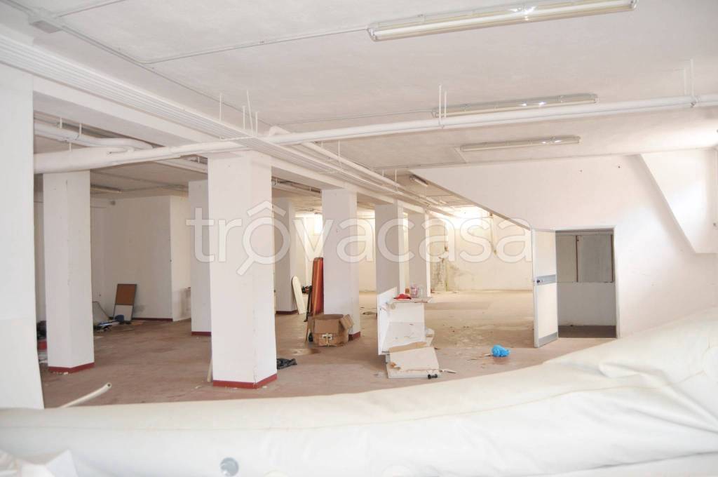 immagine annuncio 2 di 6