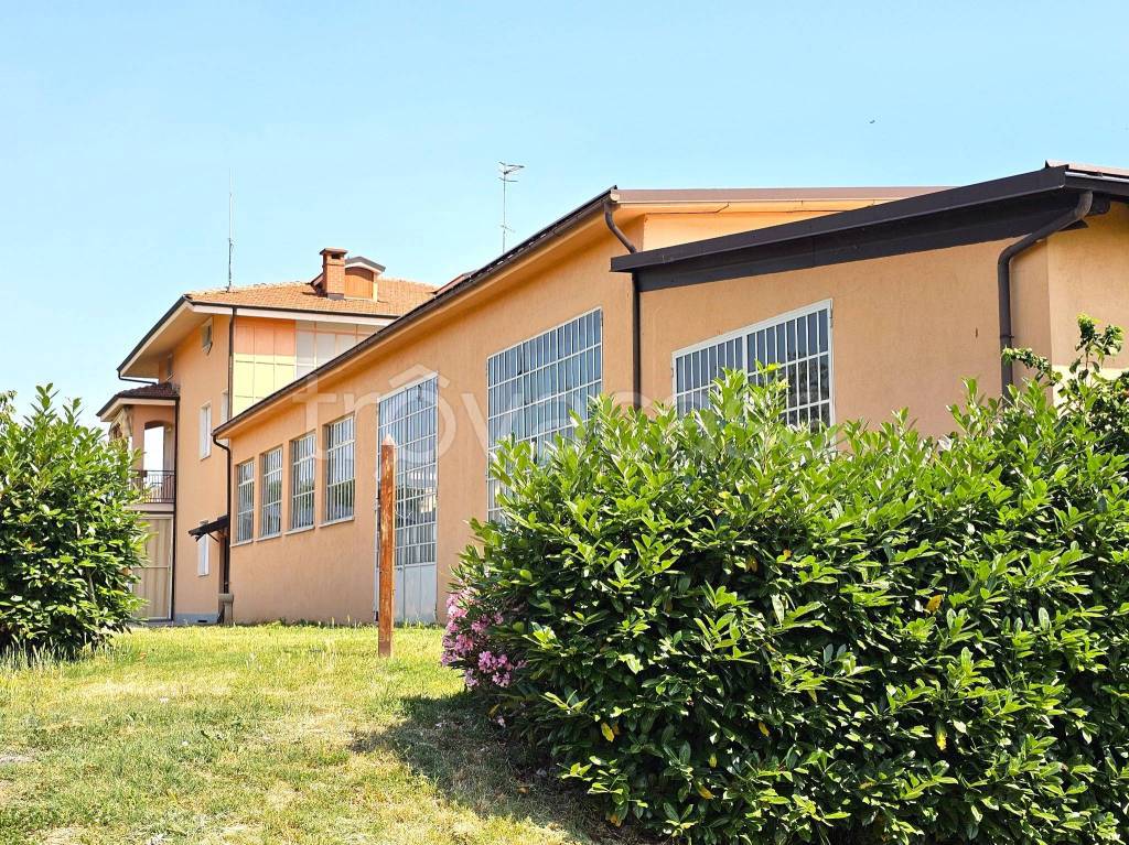 immagine annuncio 3 di 15