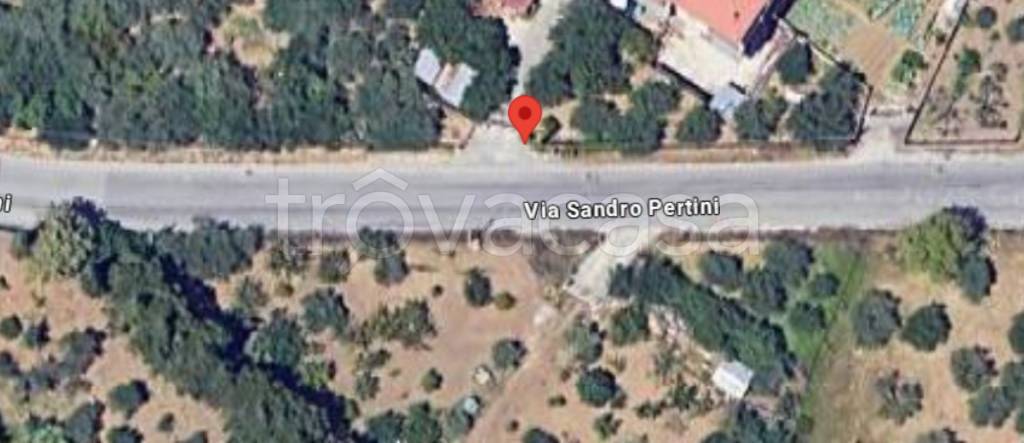 immagine annuncio 10 di 12
