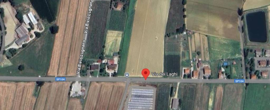 immagine annuncio 2 di 13