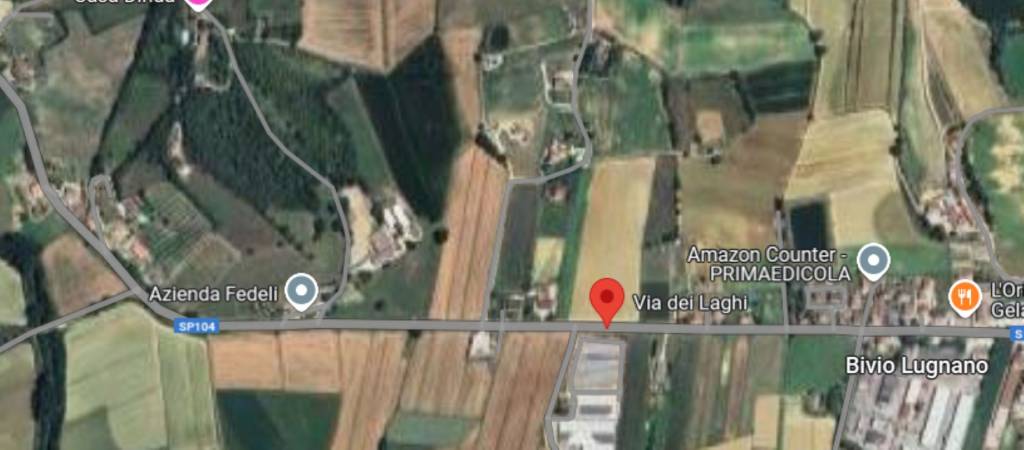immagine annuncio 4 di 13
