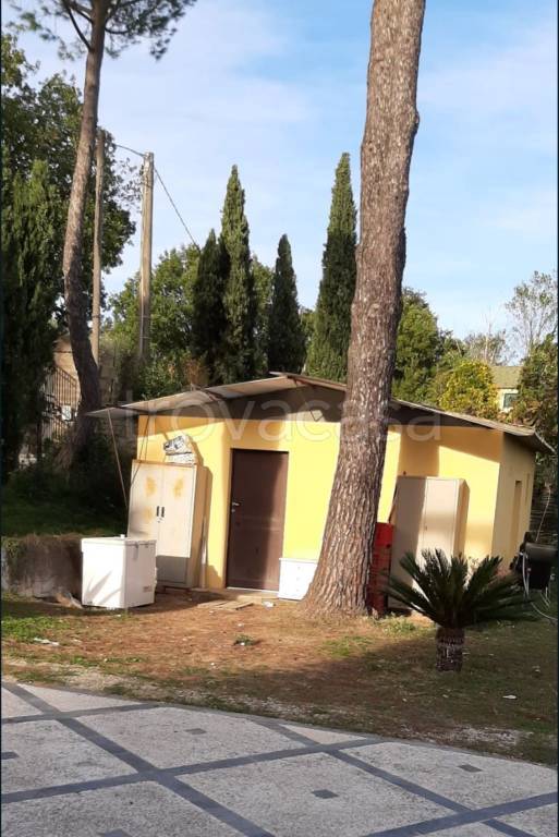 immagine annuncio 5 di 12