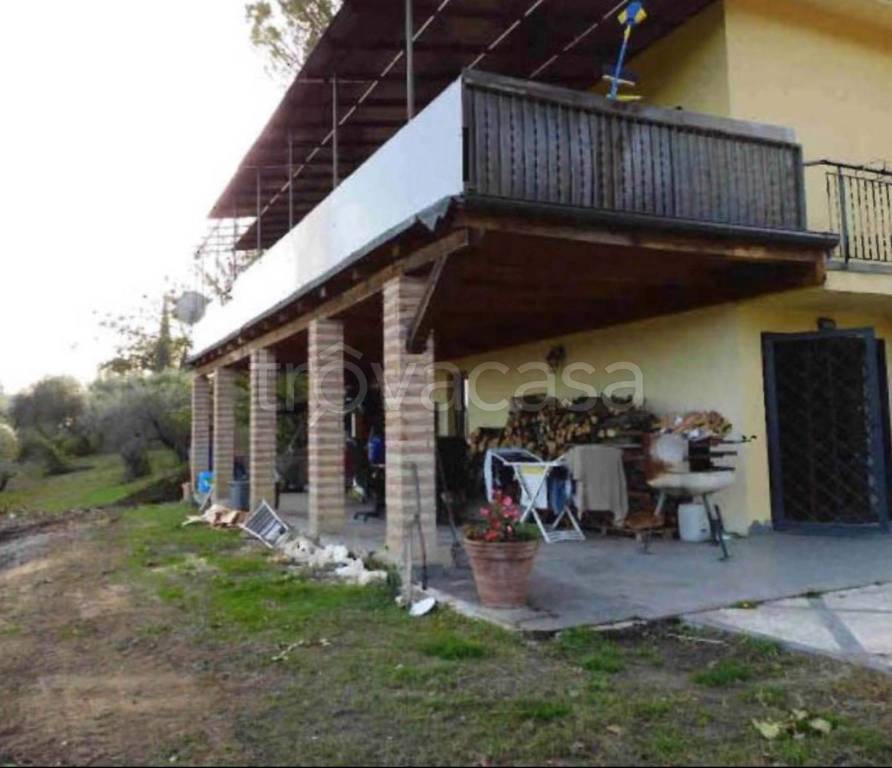 immagine annuncio 2 di 12
