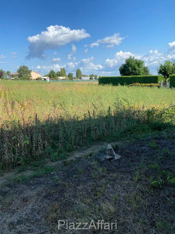 immagine annuncio 8 di 12