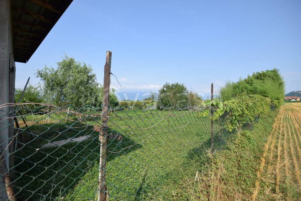 immagine annuncio 5 di 9