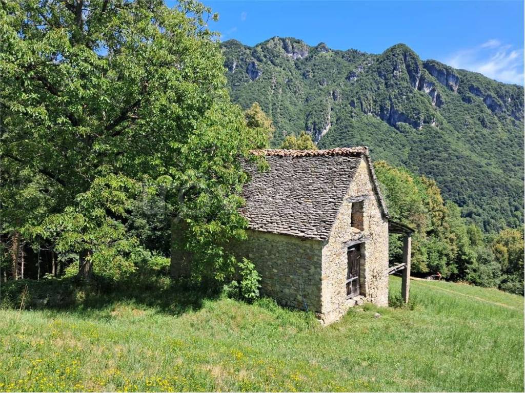 immagine annuncio 6 di 11