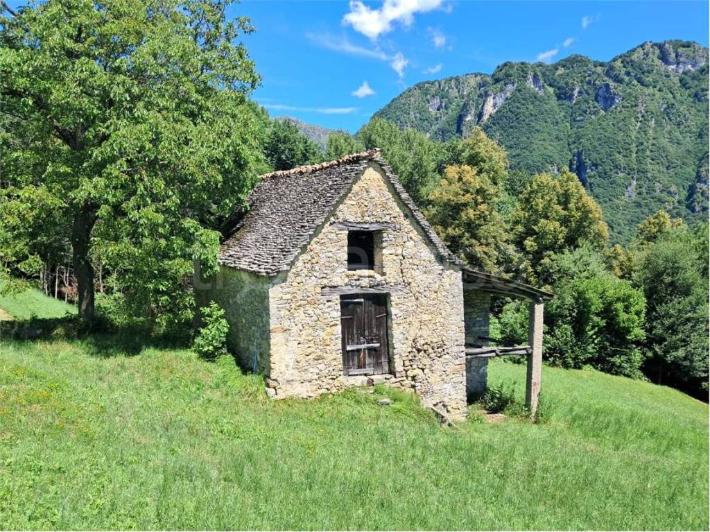 immagine annuncio 7 di 11