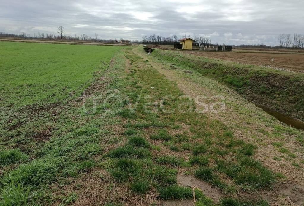immagine annuncio 3 di 8