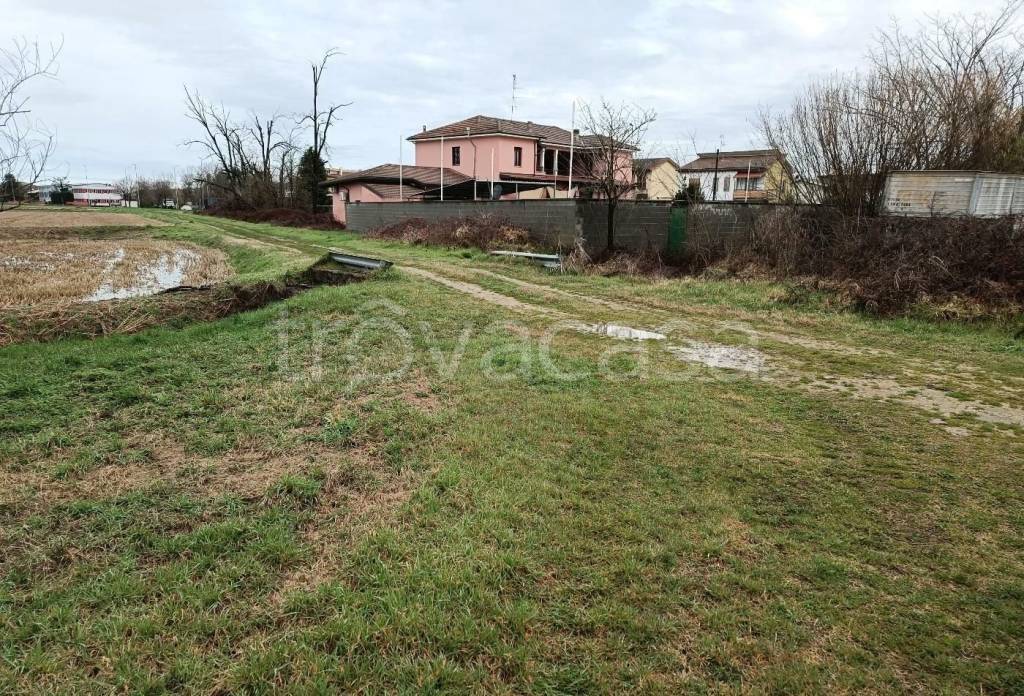 immagine annuncio 5 di 14