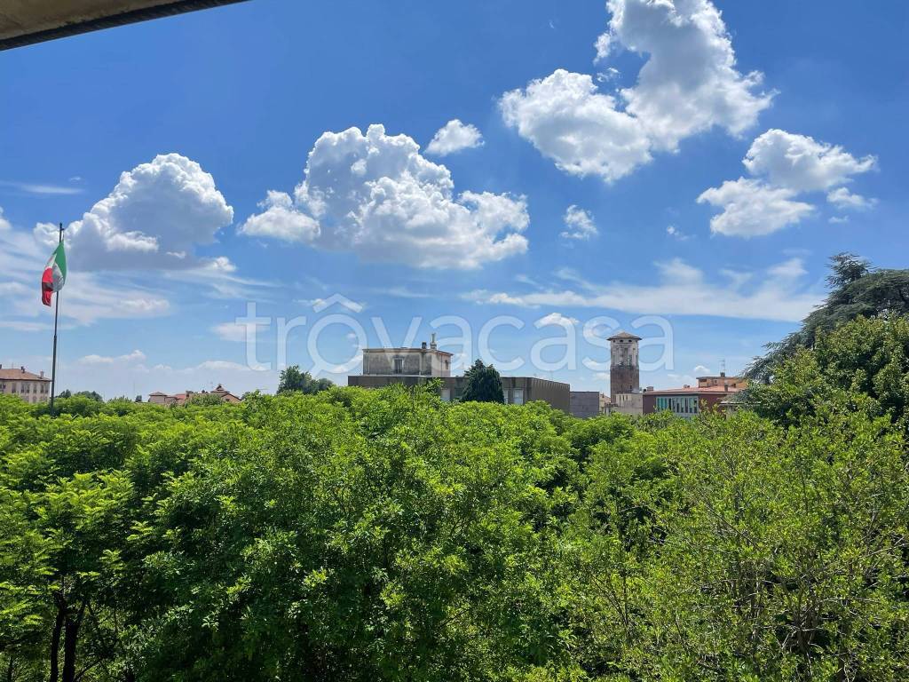 immagine annuncio 5 di 11