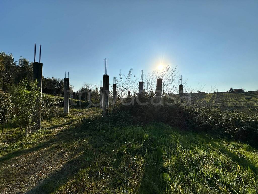 immagine annuncio 7 di 12