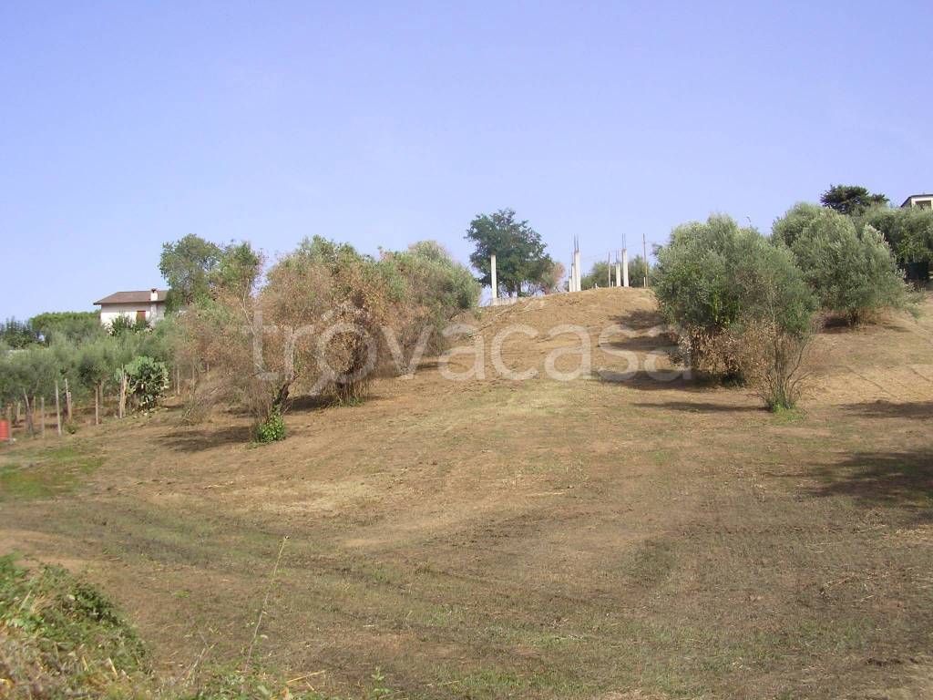 immagine annuncio 9 di 12