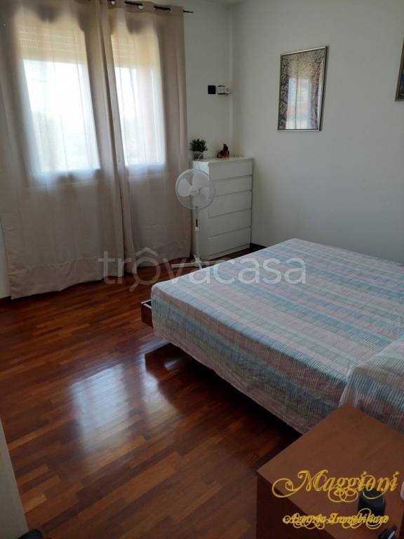 immagine annuncio 9 di 14