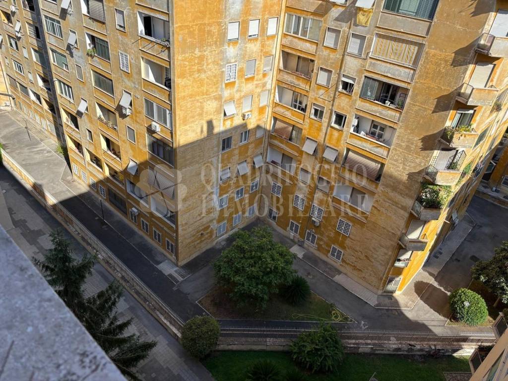 immagine annuncio 5 di 14