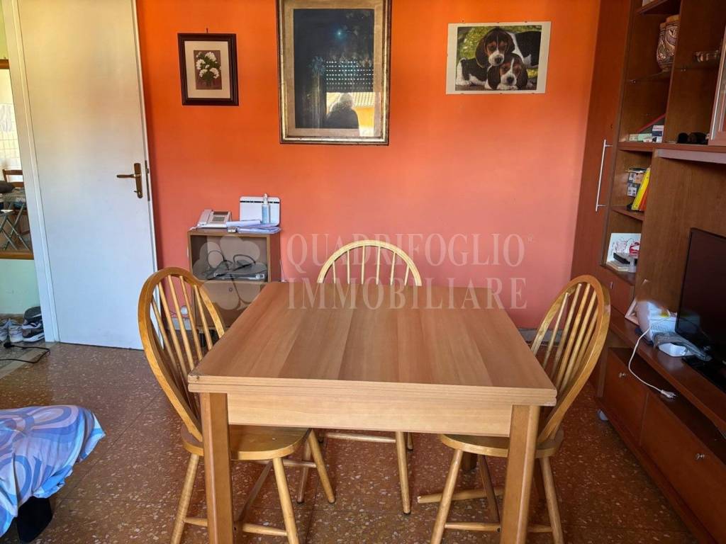 immagine annuncio 2 di 14