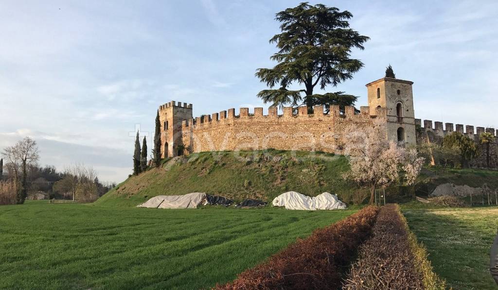 immagine annuncio 2 di 14