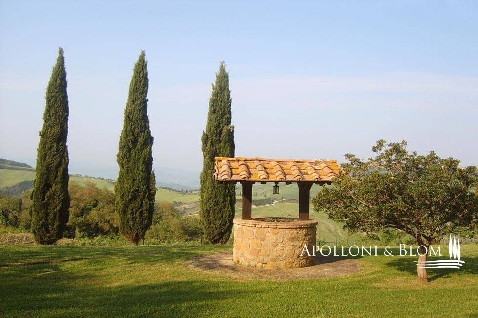 immagine annuncio 6 di 12