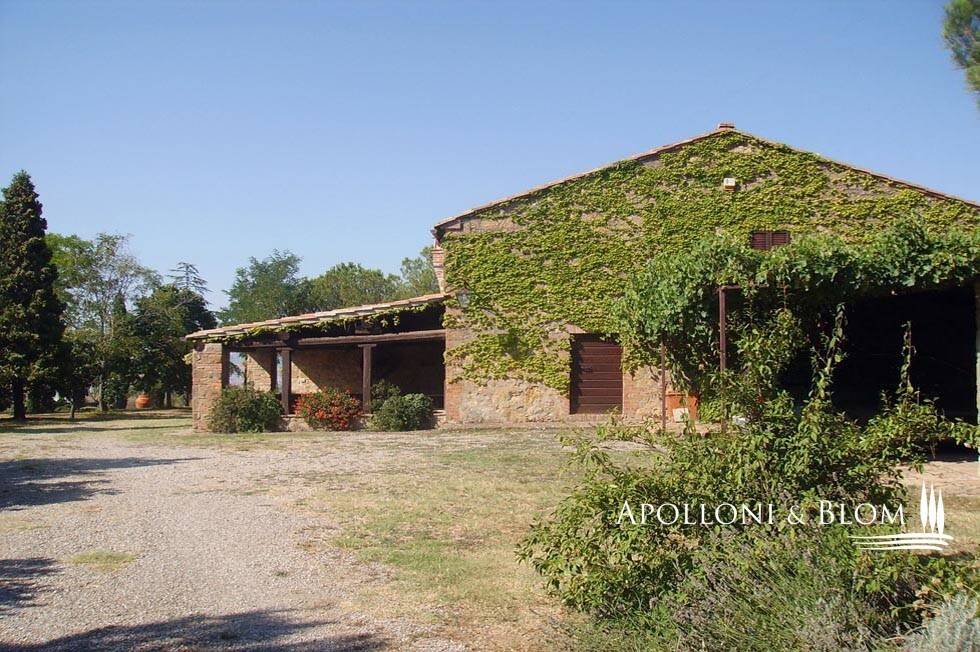 immagine annuncio 10 di 12