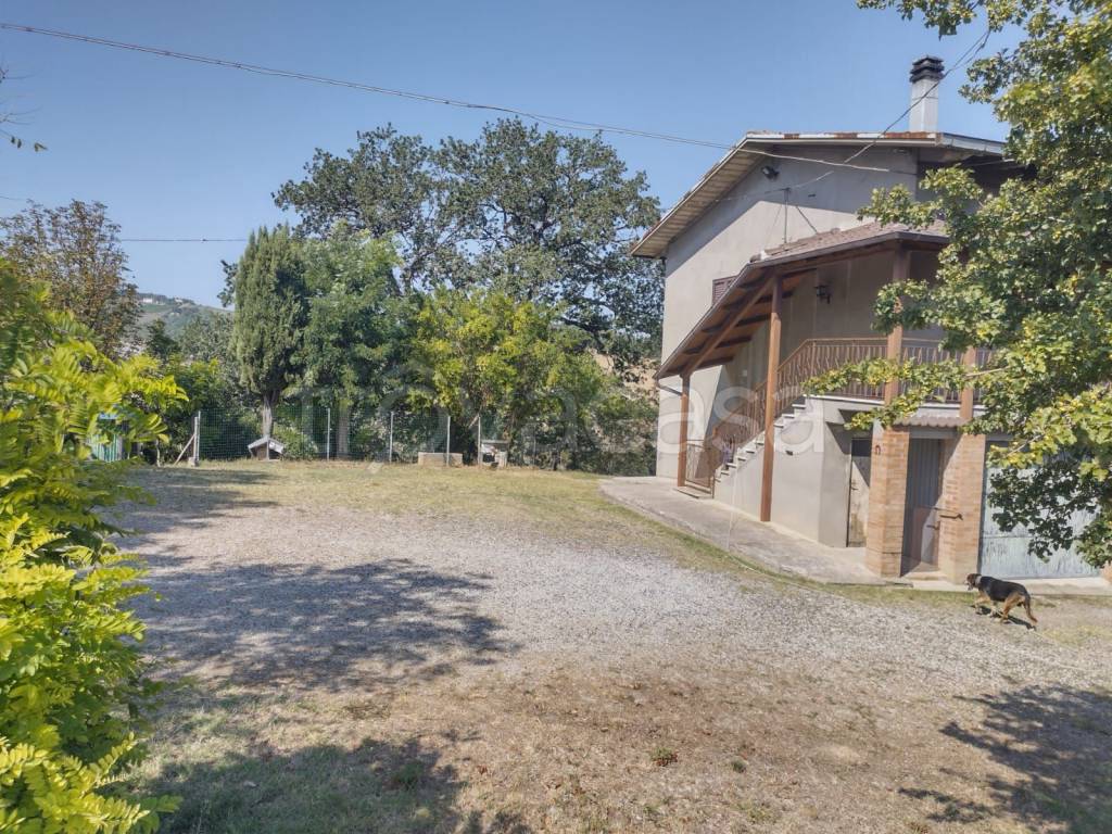 immagine annuncio 2 di 7