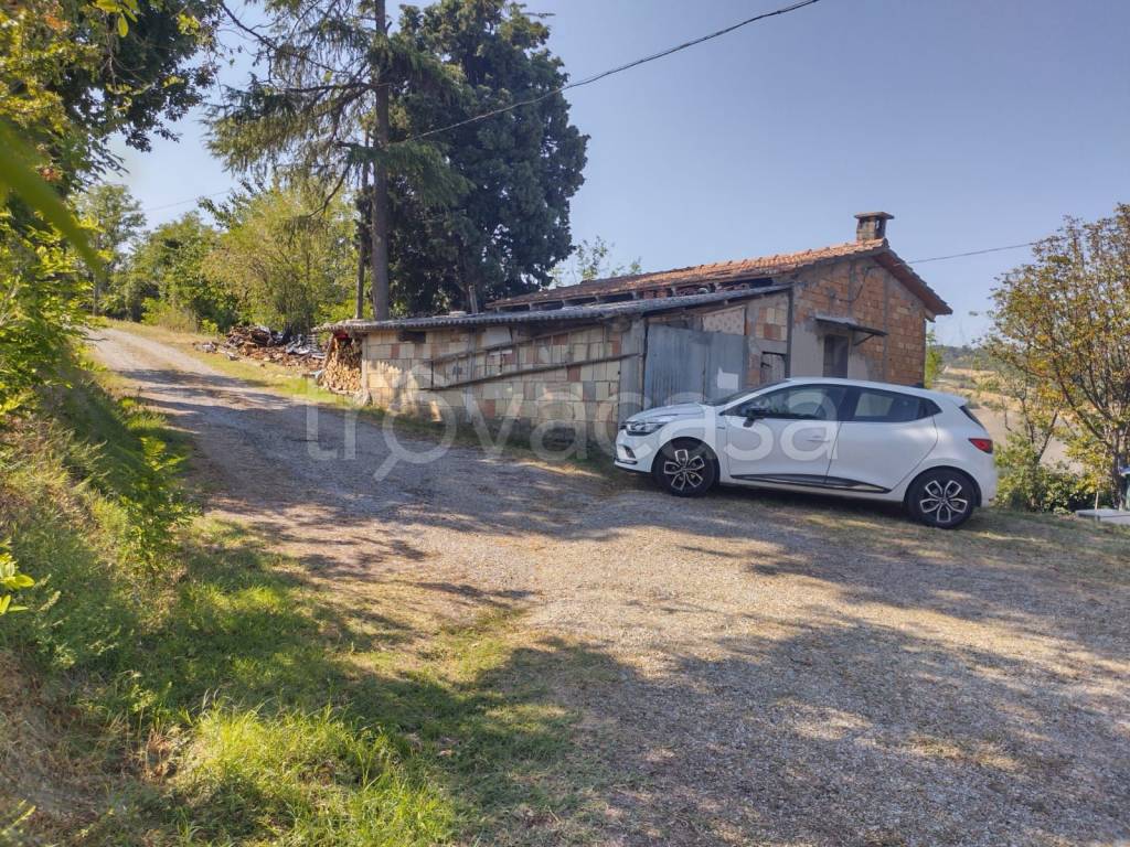 immagine annuncio 6 di 7
