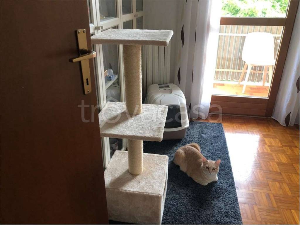 immagine annuncio 5 di 14