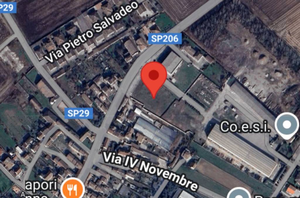 immagine annuncio 2 di 11