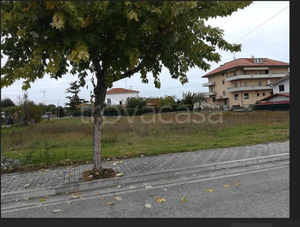 immagine annuncio 3 di 8